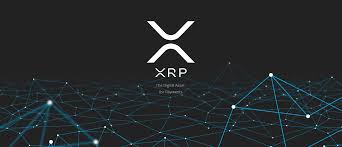 XRP – At the heart of the SEC’s Case Against Ripple, A Dispute Over Legal Advice